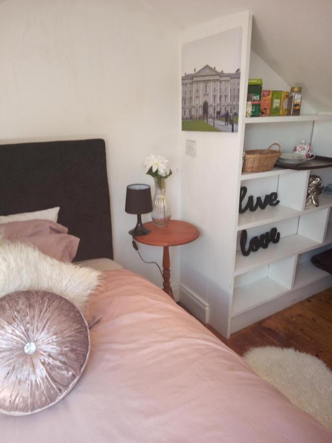 A Cosy Dublin Room Eksteriør billede